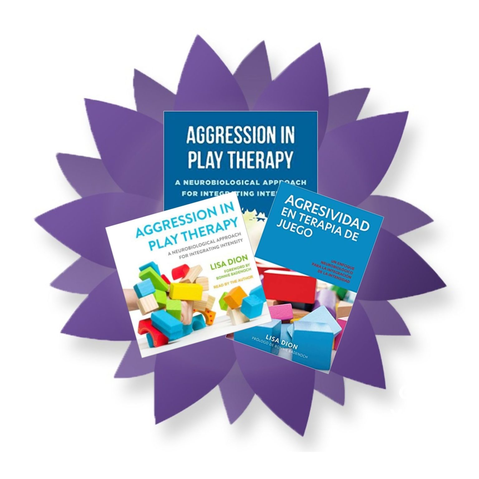 The Book Synergetic Play Therapy Institute