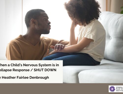 When a Child’s Nervous System is in Collapse Response / SHUT DOWN