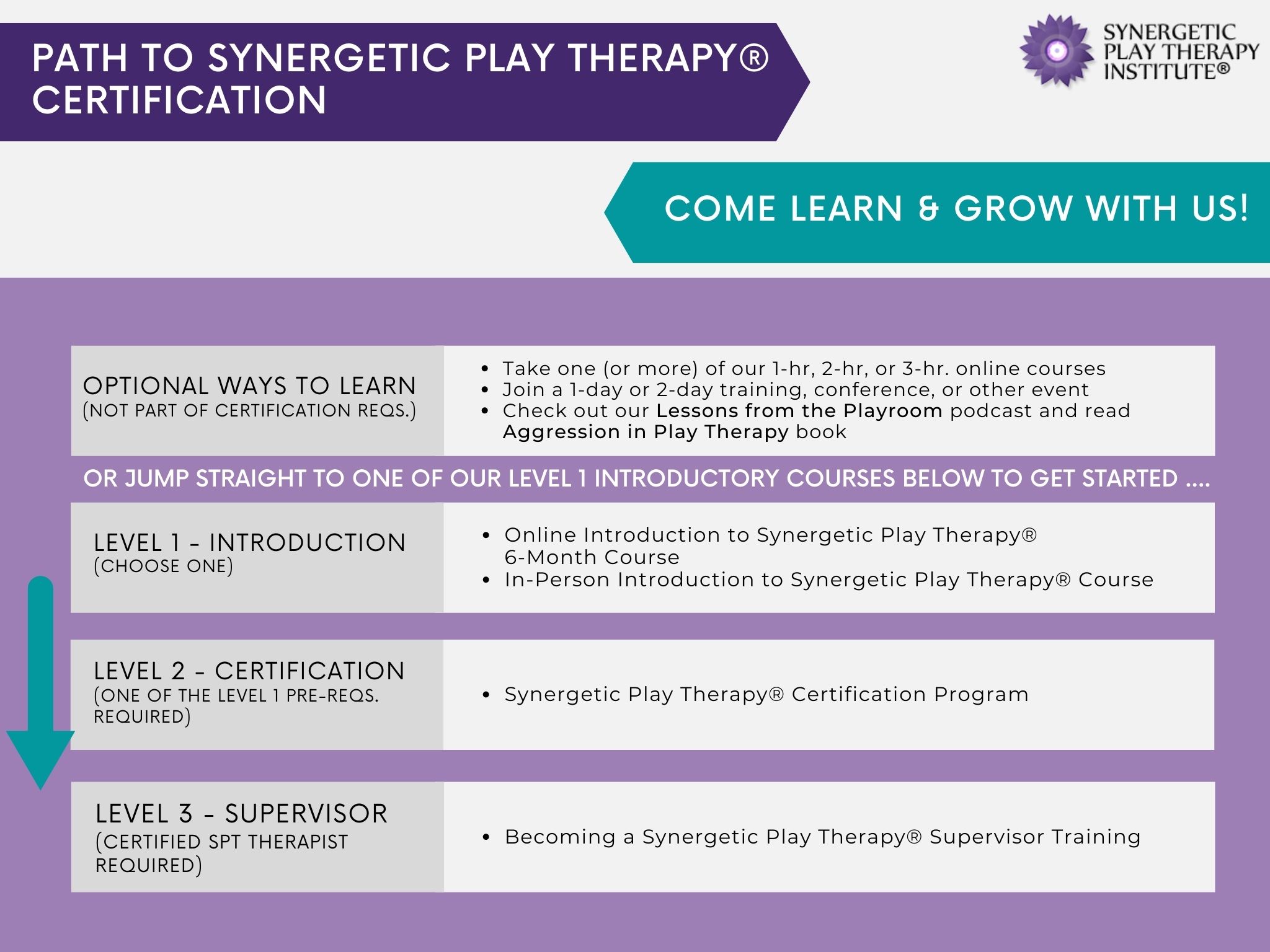 Training Synergetic Play Therapy Institute