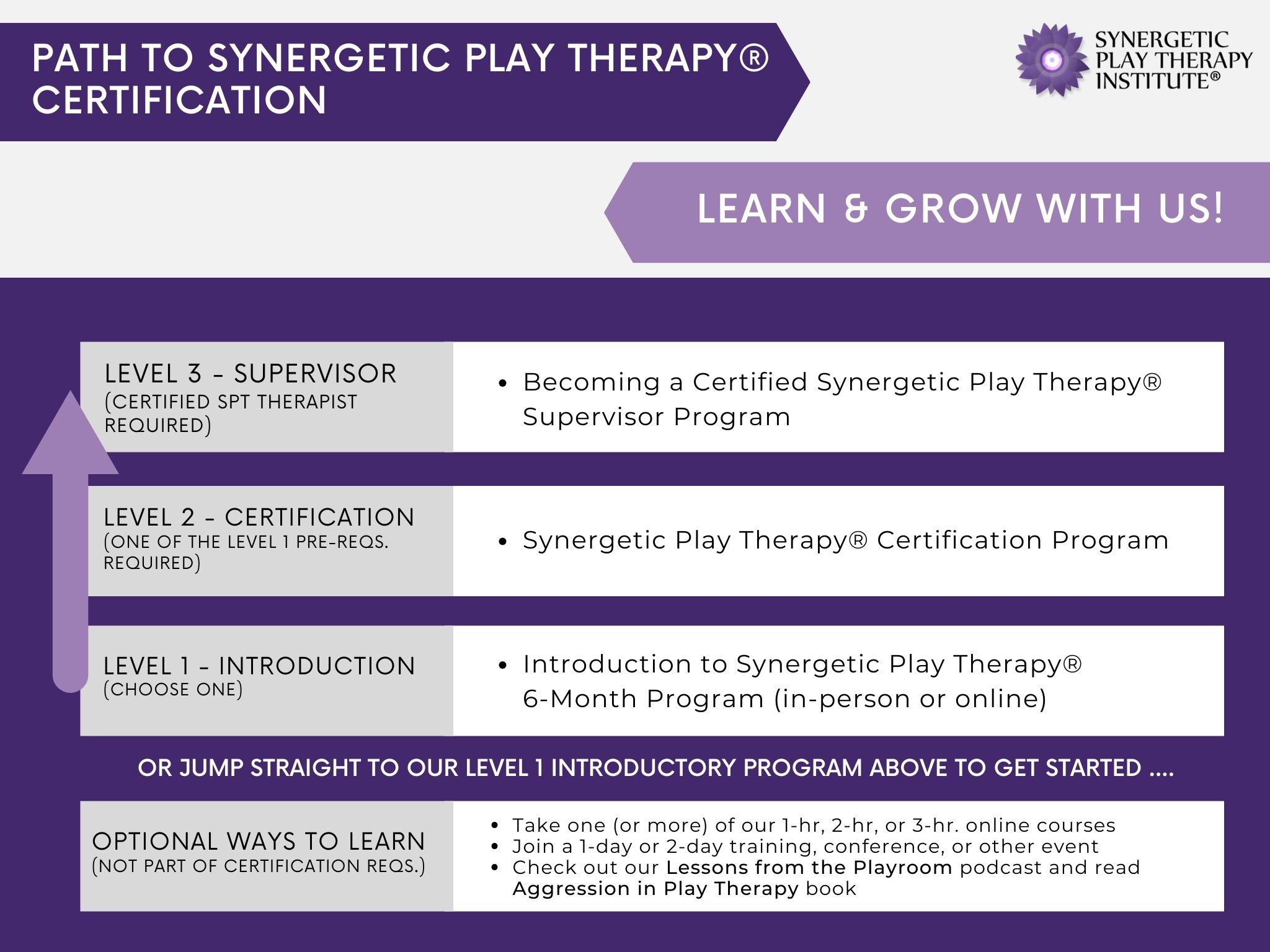 Organizational progression synergetic play therapy institute