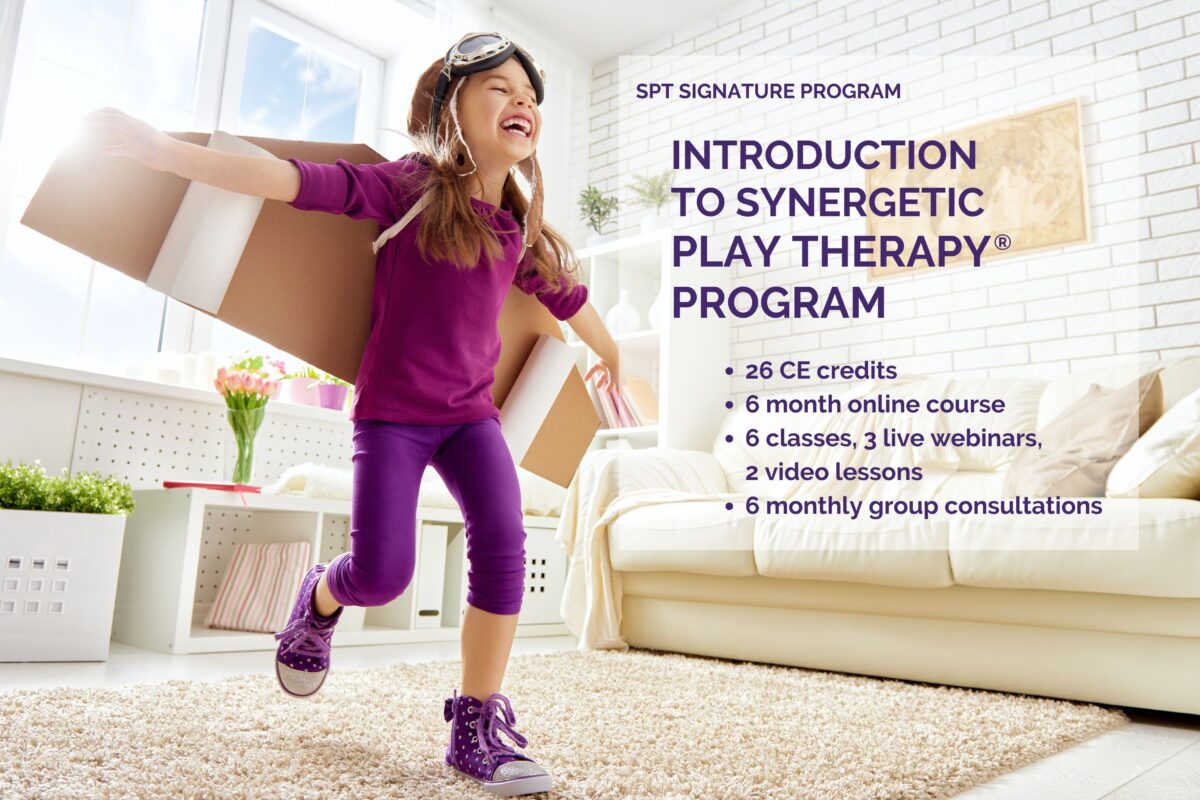 Home synergetic play therapy institute